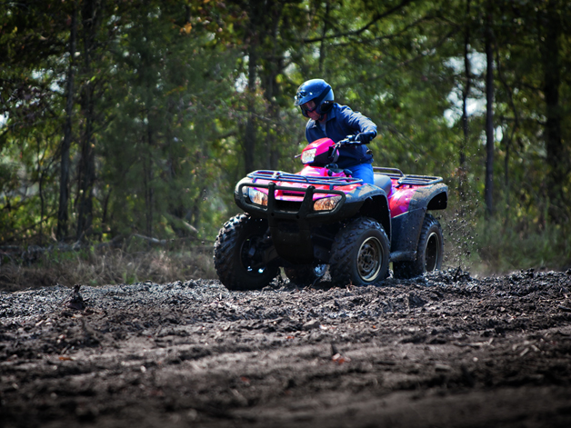 Мотоцикл Honda TRX 500 FPA 2012