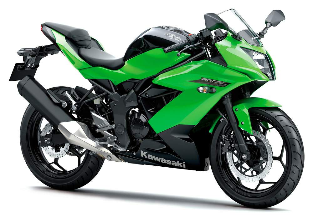 Мотоцикл Kawasaki Ninja 250RR Mono 2016