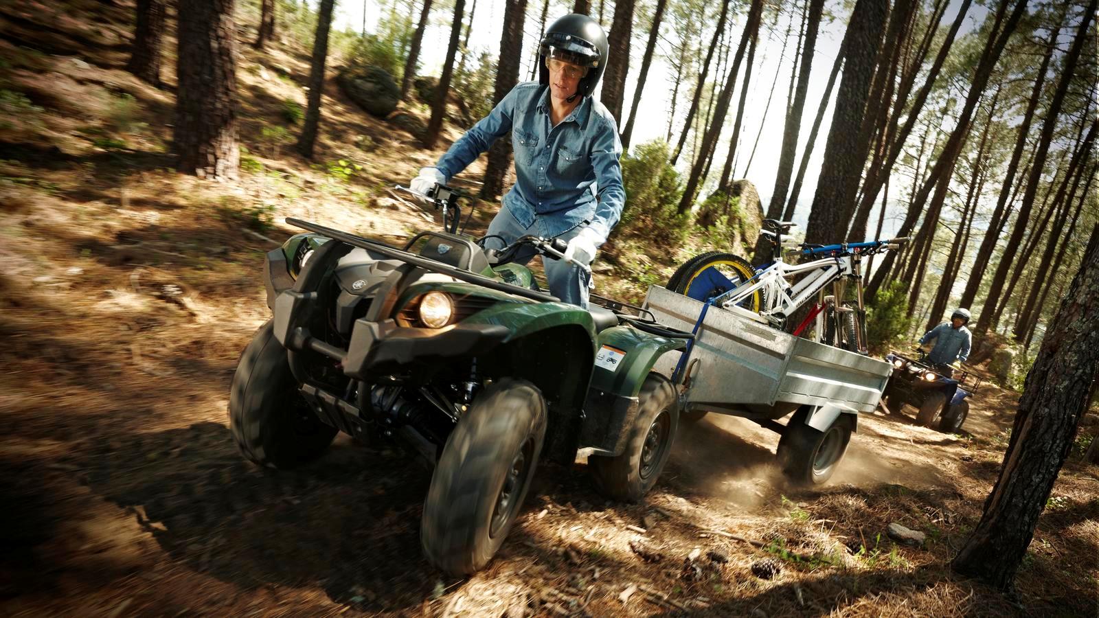 Мотоцикл Yamaha GRIZZLY 450 IRS 2012