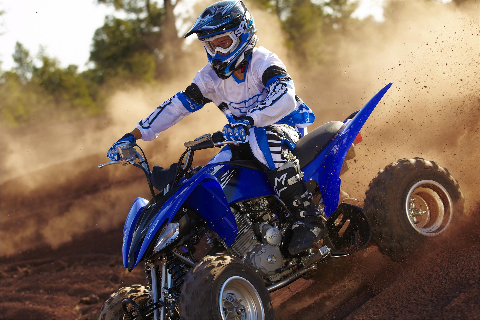 Квадроцикл Yamaha Raptor 250