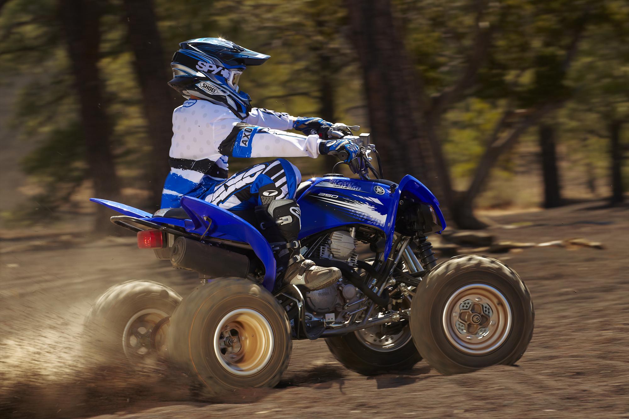 Квадроцикл Yamaha Raptor 250